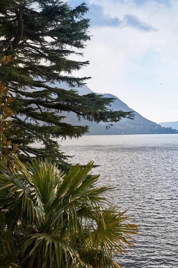 Villa Lario Lake Como Pognana Lario Dış mekan fotoğraf
